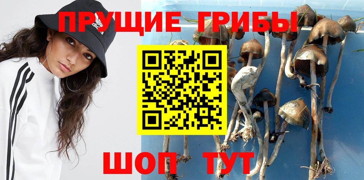 Галлюциногенные грибы Magic Shrooms  Вход с VPN  Галлюциногенные грибы MAGIC MUSHROOMS  Череповец 