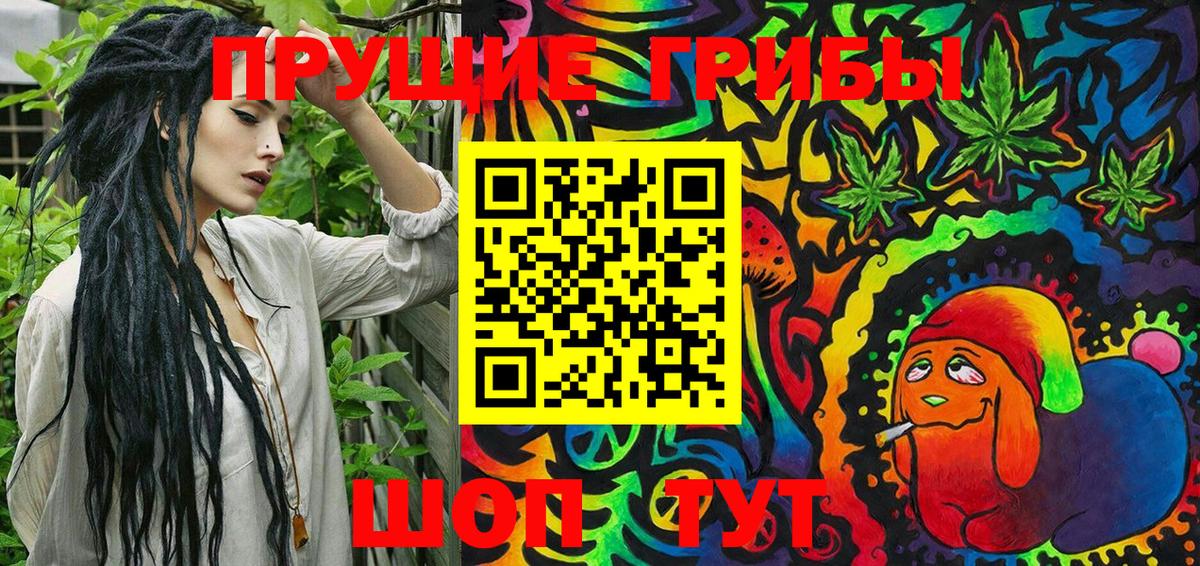 Псилоцибиновые грибы Psilocybe Череповец